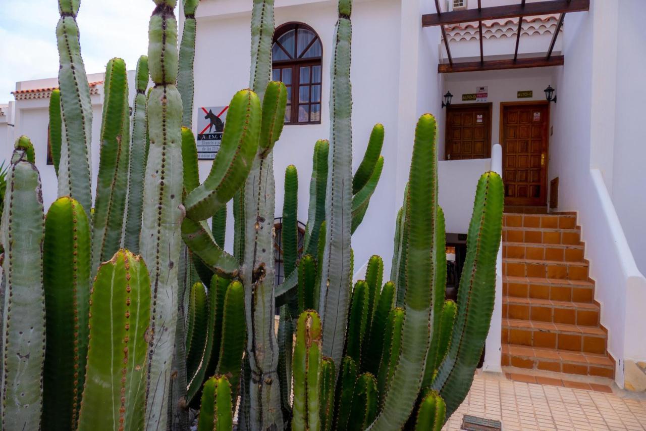 Las Bouganvillas 1 Bed Apartment In Costa Adeje Eksteriør billede